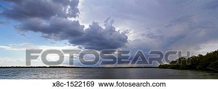 Stock Photo - Panorama of lakes and channels in the Danube Delta, romania, thunderstorm clouds form in the air, which is full of moisture from the huge evaporation surface of the still flooded Delta Big willows, alder and ash trees form a riparian forest. Fotosearch