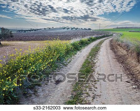 Pantoja road in Pinto. Madrid. Spain. View Large Photo Image Stock Image - Pantoja road in Pinto. Madrid. Spain.. Fotosearch
