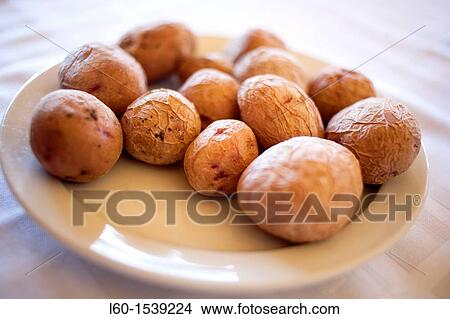 ? Papas arrugadas? Typical food in Canary Islands, Spain View Large Photo Image Picture - ? Papas arrugadas? Typical food in Canary Islands, Spain. Fotosearch