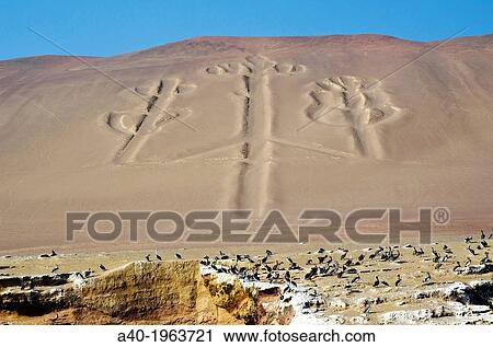 Paracas National Reserve. Paracas Candelabro geoglyph. Paracas culture 200 BCE. View Large Photo Image Stock Image - Paracas National Reserve. Paracas Candelabro geoglyph. Paracas culture 200 BCE.. Fotosearch