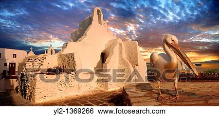 Paraportiani Greek Orthodox churches of Mykanos Chora with the Pelican town mascot Petros, Cyclades Islands, Greece View Large Photo Image Stock Photograph - Paraportiani Greek Orthodox churches of Mykanos Chora with the Pelican town mascot Petros, Cyclades Islands, Greece. Fotosearch