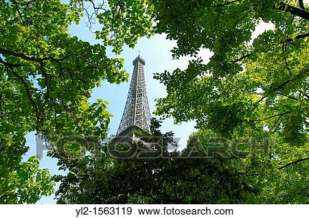 Stock Photo - Paris - France -Eifel Tower - Through trees. Fotosearch