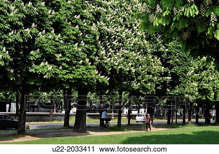 Paris, France, public park by the Seine River View Large Photo Image Stock Image - Paris, France, public park by the Seine River. Fotosearch