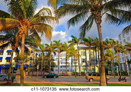 Park Central Hotel morning time, South Beach, Ocean Drive, Miami, Florida, USA View Large Photo Image Stock Photography - Park Central Hotel morning time, South Beach, Ocean Drive, Miami, Florida, USA. Fotosearch