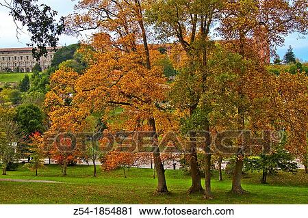 Park in autumn and Pontificial University of Comillas, Cantabria Spain View Large Photo Image Stock Image - Park in autumn and Pontificial University of Comillas, Cantabria Spain. Fotosearch