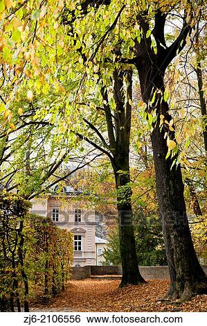 Park in Salzburg. Beerch hedge. Mature lime trees. Mirabell Gardens Austria. View Large Photo Image Stock Photograph - Park in Salzburg. Beerch hedge. Mature lime trees. Mirabell Gardens Austria.. Fotosearch