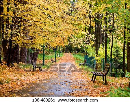 Park in Szczawnica,, Poland View Large Photo Image Stock Photography - Park in Szczawnica,, Poland. Fotosearch