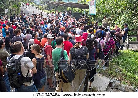 Picture - Park ranger gives briefing to visitors before entering orang utan feeding area. Semengoh Wildlife Centre, Sarawak, Malaysia.. Fotosearch