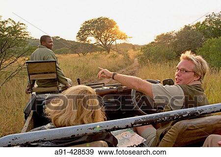 Park ranger Ryan Kewley. Game drive in the Phinda private park. Kwazulu-Natal province. South Africa View Large Photo Image Stock Photo - Park ranger Ryan Kewley. Game drive in the Phinda private park. Kwazulu-Natal province. South Africa. Fotosearch