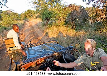 Park Rangers Ryan Kewley and Thomas Nsele. Game drive in the Phinda private park. Kwazulu-Natal province. South Africa View Large Photo Image Stock Photo - Park Rangers Ryan Kewley and Thomas Nsele. Game drive in the Phinda private park. Kwazulu-Natal province. South Africa. Fotosearch