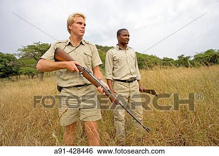 Park Rangers Ryan Kewley and Thomas Nsele. Game drive in the Phinda private park. Kwazulu-Natal province. South Africa View Large Photo Image Stock Photograph - Park Rangers Ryan Kewley and Thomas Nsele. Game drive in the Phinda private park. Kwazulu-Natal province. South Africa. Fotosearch