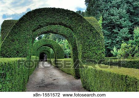 Park, the Mateus Palace Solar de Mateus, near Vila Real, Portugal View Large Photo Image Stock Image - Park, the Mateus Palace Solar de Mateus, near Vila Real, Portugal. Fotosearch