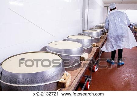 Parmigiano Reggiano cheese producer factory in Baganzolino, Parma, Emilia Romagna, Italy. View Large Photo Image Stock Image - Parmigiano Reggiano cheese producer factory in Baganzolino, Parma, Emilia Romagna, Italy.. Fotosearch