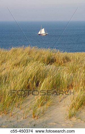 Parnidis dune, Curonian Spit. Lithuania View Large Photo Image Picture - Parnidis dune, Curonian Spit. Lithuania. Fotosearch