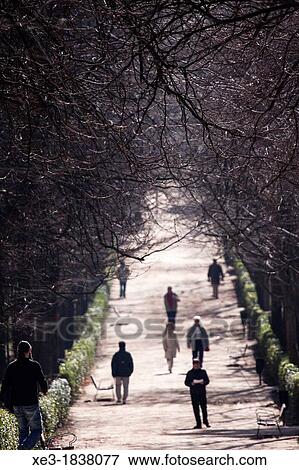 Parque del Retiro, Madrid, Spain. View Large Photo Image Stock Photo - Parque del Retiro, Madrid, Spain.. Fotosearch