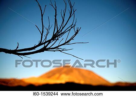 Parque Nacional del Teide, Tenerife, Canary Islands, Spain View Large Photo Image Picture - Parque Nacional del Teide, Tenerife, Canary Islands, Spain. Fotosearch