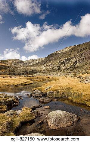 Parque Natural de la Sierra de Gredos, Avila, Castile-Leon, Spain View Large Photo Image Stock Image - Parque Natural de la Sierra de Gredos, Avila, Castile-Leon, Spain. Fotosearch