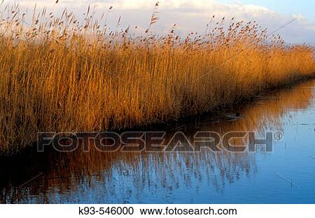 Parque Natural de S? Albufera de Mallorca. View Large Photo Image Stock Image - Parque Natural de S? Albufera de Mallorca.. Fotosearch