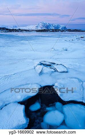 Partially frozen coastline at dawn, Lofoten Islands, Norway View Large Photo Image Stock Image - Partially frozen coastline at dawn, Lofoten Islands, Norway. Fotosearch