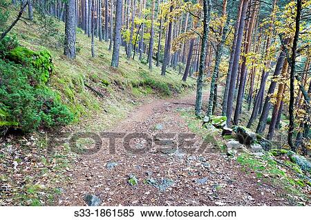 Pasada bridge road in the Sierra de la Morcuera Canencia Madrid Spain View Large Photo Image Stock Photography - Pasada bridge road in the Sierra de la Morcuera Canencia Madrid Spain. Fotosearch