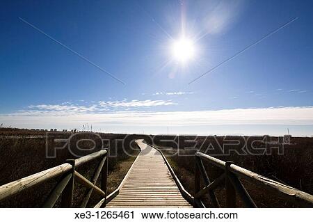 Stock Image - Pasarela del? Tancat de la Pipa? (Albufera de Valencia). Fotosearch