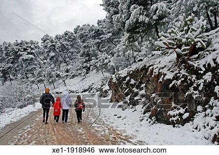 Passeig de les Aigues, Collserola, Barcelona, Catalonia, Spain. View Large Photo Image Stock Photograph - Passeig de les Aigues, Collserola, Barcelona, Catalonia, Spain.. Fotosearch