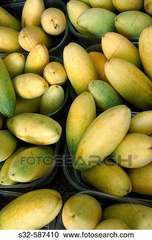 Passion fruits for sale, Funchal. Madeira islands, Portugal View Large Photo Image Stock Image - Passion fruits for sale, Funchal. Madeira islands, Portugal. Fotosearch