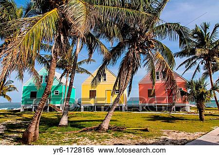 Stock Photography - Pastel colored cottages along the water with coconut palms on Green Turtle Cay, Bahamas. Fotosearch