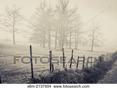 Picture - Pasture and trees. Bitoriano, Zuia. Zuya county. Alava, Basque Country, Spain, Europe.. Fotosearch