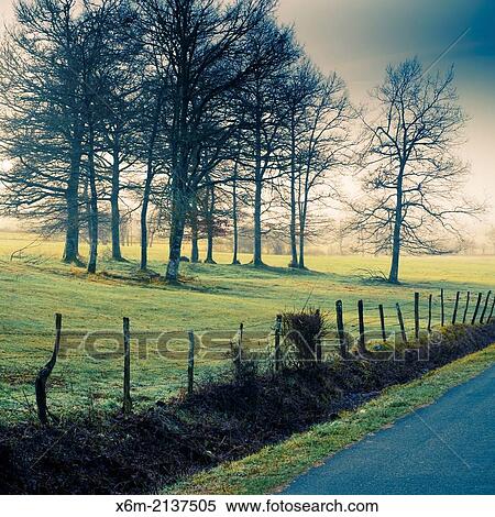 Stock Photography - Pasture and trees. Bitoriano, Zuia. Zuya county. Alava, Basque Country, Spain, Europe.. Fotosearch