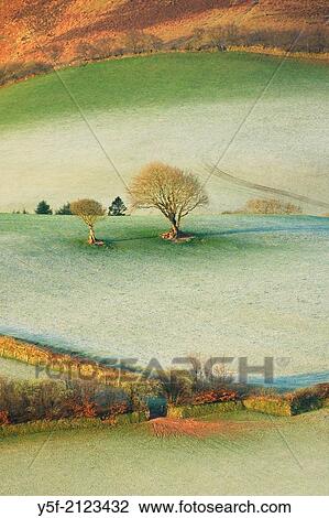 Pasture at early morning. View Large Photo Image Stock Image - Pasture at early morning.. Fotosearch