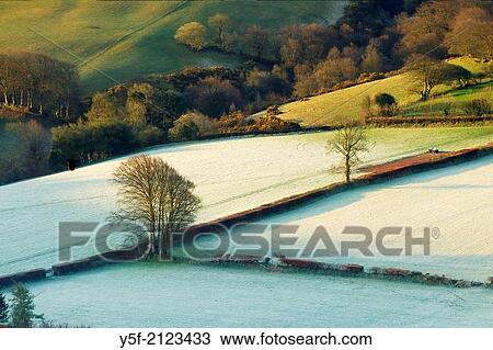 Pasture at early morning. View Large Photo Image Stock Image - Pasture at early morning.. Fotosearch