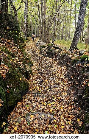 Path, Cami de les Fonts, Vall de Boi, Pyrenees, Catalonia, Spain View Large Photo Image Stock Photography - Path, Cami de les Fonts, Vall de Boi, Pyrenees, Catalonia, Spain. Fotosearch