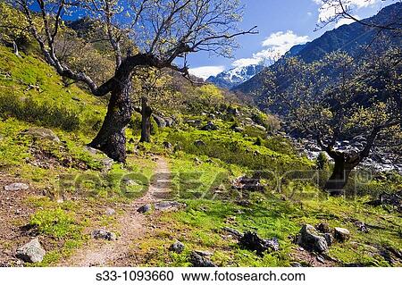Path, Garganta de Tejea, Sierra de Gredos, Avila province, Castilla-Leon, Spain View Large Photo Image Stock Image - Path, Garganta de Tejea, Sierra de Gredos, Avila province, Castilla-Leon, Spain. Fotosearch