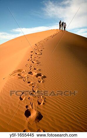 Path of over sand dunes at Sahara desert View Large Photo Image Stock Photography - Path of over sand dunes at Sahara desert. Fotosearch