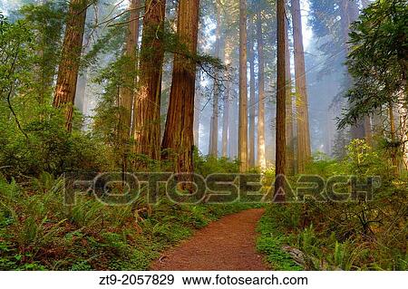 Stock Photo - Path to??.. Fotosearch