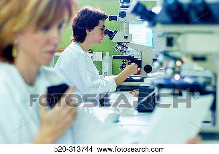 Pathological anatomy at hospital View Large Photo Image Picture - Pathological anatomy at hospital. Fotosearch