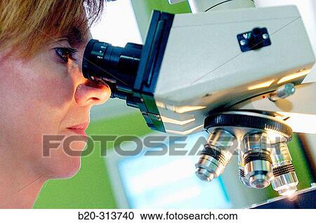 Pathological anatomy at hospital View Large Photo Image Stock Image - Pathological anatomy at hospital. Fotosearch