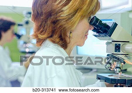 Stock Image - Pathological anatomy at hospital. Fotosearch