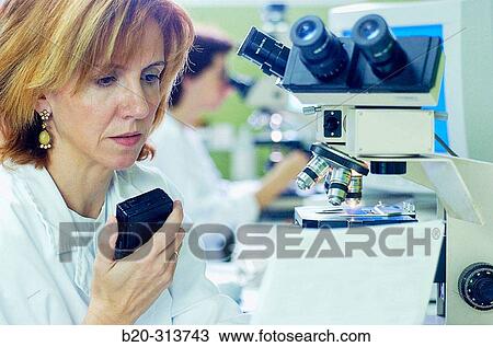Pathological anatomy at hospital View Large Photo Image Stock Image - Pathological anatomy at hospital. Fotosearch