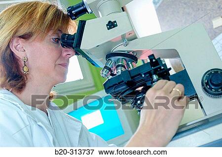 Pathological anatomy at hospital View Large Photo Image Stock Photo - Pathological anatomy at hospital. Fotosearch
