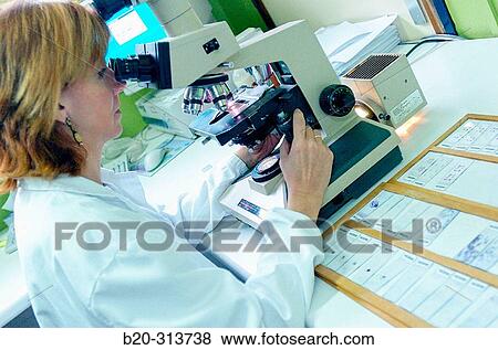 Stock Photo - Pathological anatomy at hospital. Fotosearch