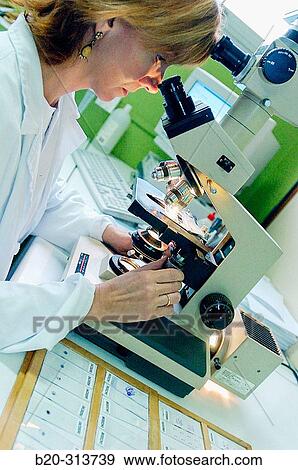 Stock Photo - Pathological anatomy at hospital. Fotosearch