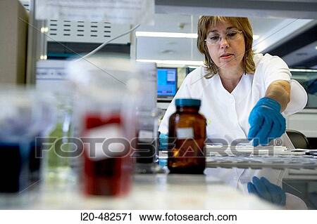 Stock Image - Pathological anatomy. Hospital Universitario Gran Canaria Doctor Negrin, Las Palmas de Gran Canaria. Canary Islands, Spain. Fotosearch
