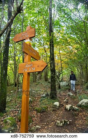 Stock Photo - Pathway and indications post in the Ason waterfall route, Ason valley, Cantabria, Spain, Europe. Fotosearch