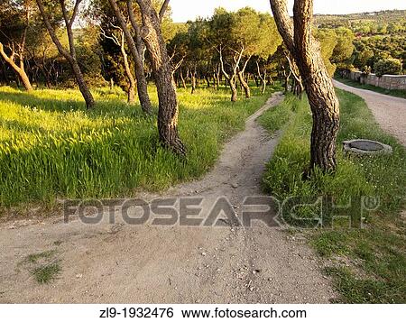 Pathway at sundown, Casa de Campo, Madrid, Spain View Large Photo Image Stock Photograph - Pathway at sundown, Casa de Campo, Madrid, Spain. Fotosearch