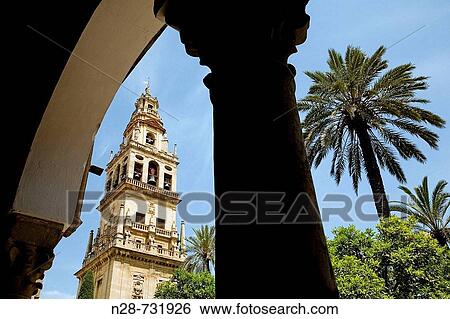 Stock Photograph - Patio de los Naranjos (orange tree courtyard) and minaret tower of the Great Mosque, Cordoba. Andalusia, Spain. Fotosearch