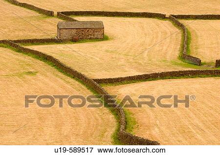Stock Photo - Pattern in the landscape near Gunnerside in Swaledale Yorkshire England UK. Fotosearch