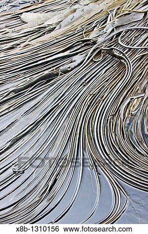 Patterns form at low tide among the strands and stipes of the giant kelp on Willis Island, South Georgia View Large Photo Image Stock Photograph - Patterns form at low tide among the strands and stipes of the giant kelp on Willis Island, South Georgia. Fotosearch