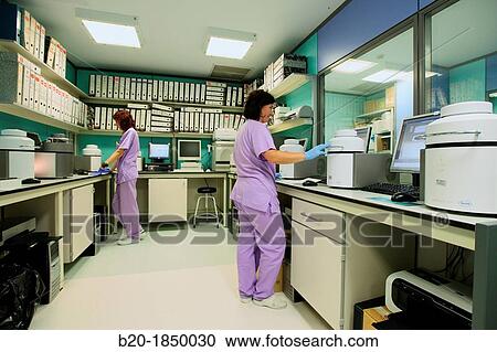 PCR, Lightcycler, Microbiology Department, Donostia Hospital, San Sebastian, Donostia, Gipuzkoa, Basque Country, Spain View Large Photo Image Stock Image - PCR, Lightcycler, Microbiology Department, Donostia Hospital, San Sebastian, Donostia, Gipuzkoa, Basque Country, Spain. Fotosearch